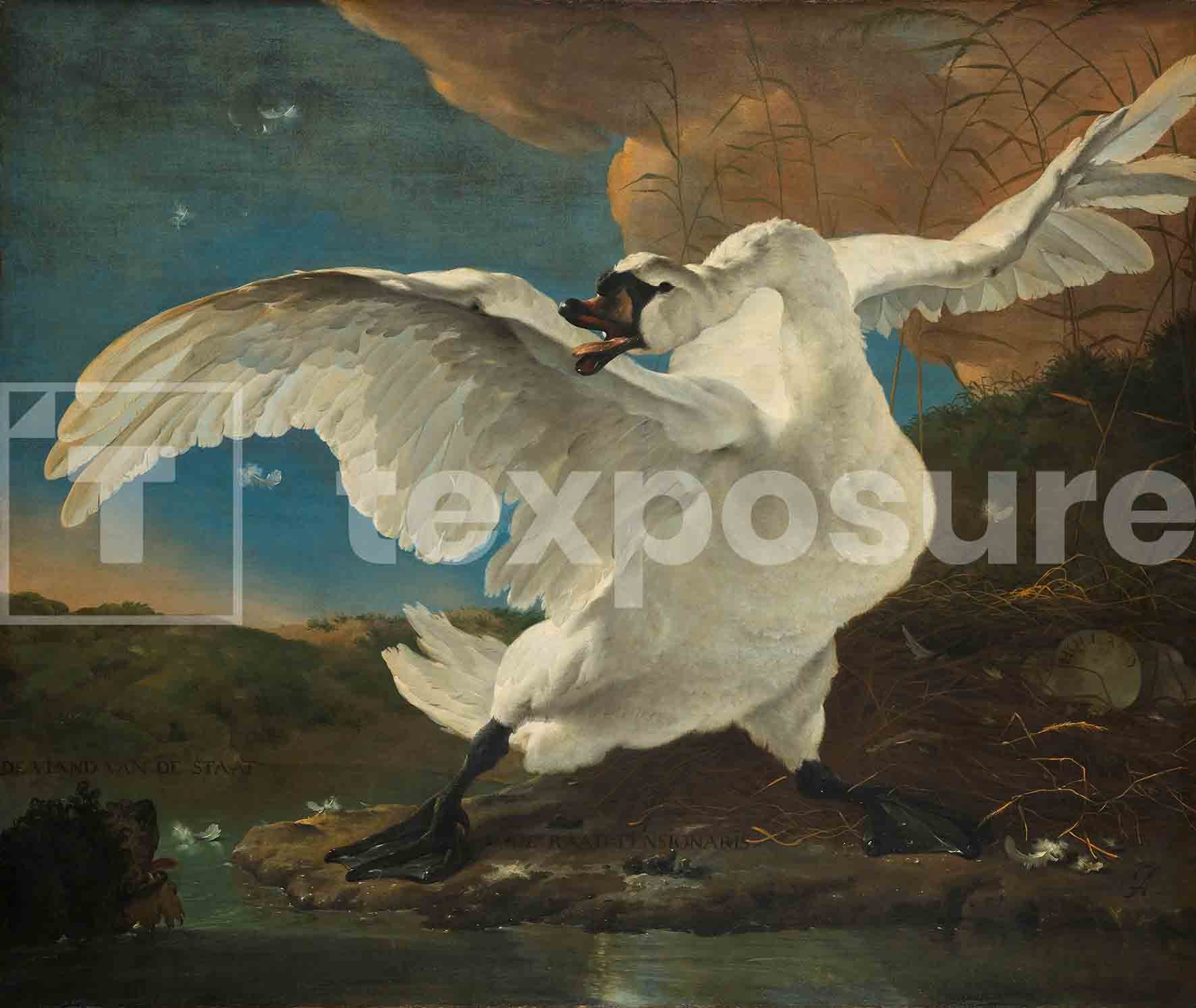 Lage resolutie foto met watermerk