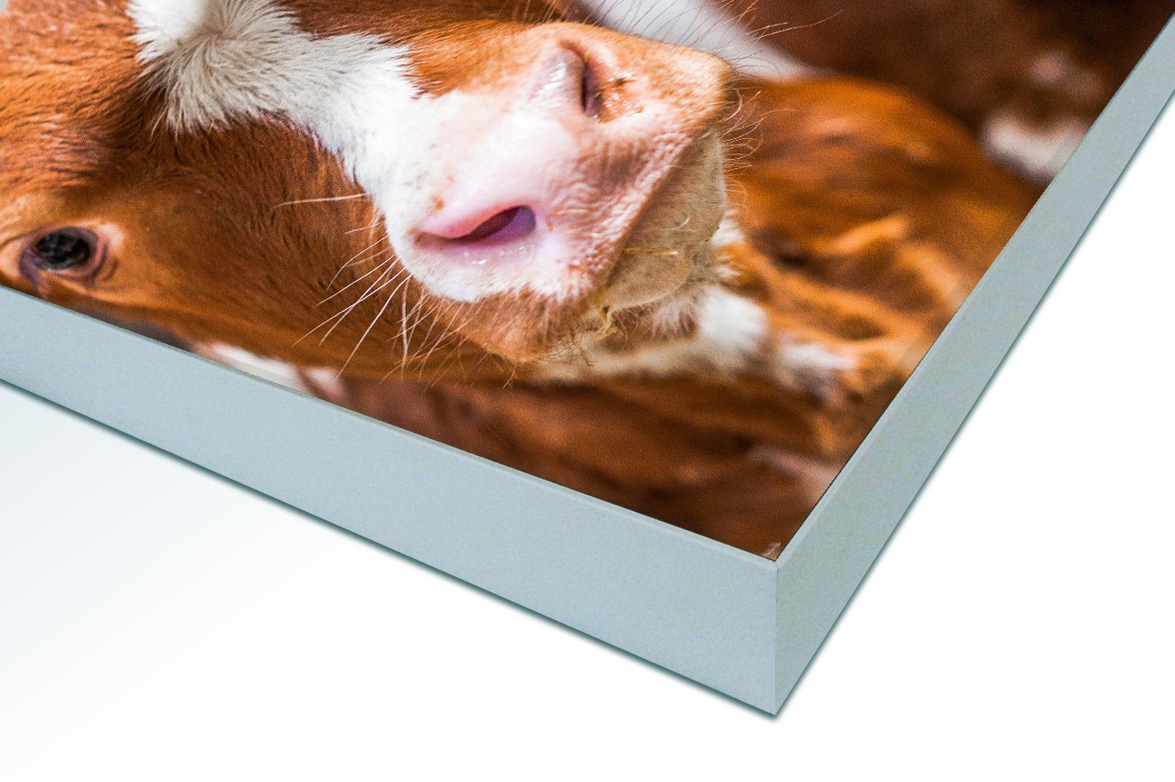 Close up textieldoek in frame gemonteerd