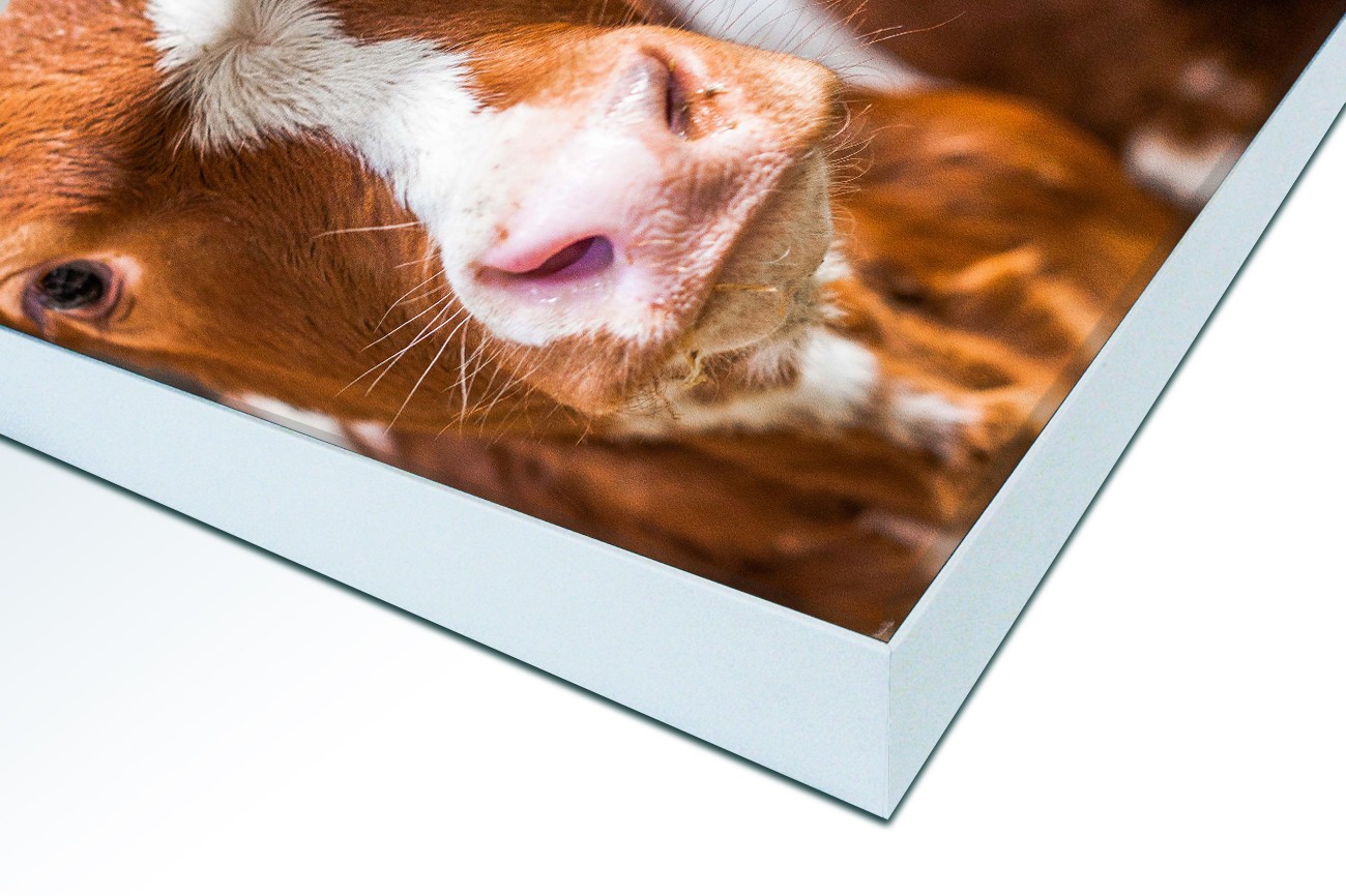 Close up textieldoek in frame gemonteerd wit