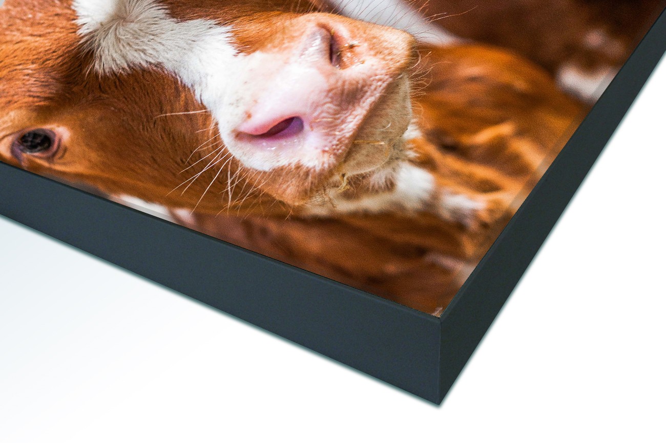 Close up textieldoek in frame gemonteerd zwart