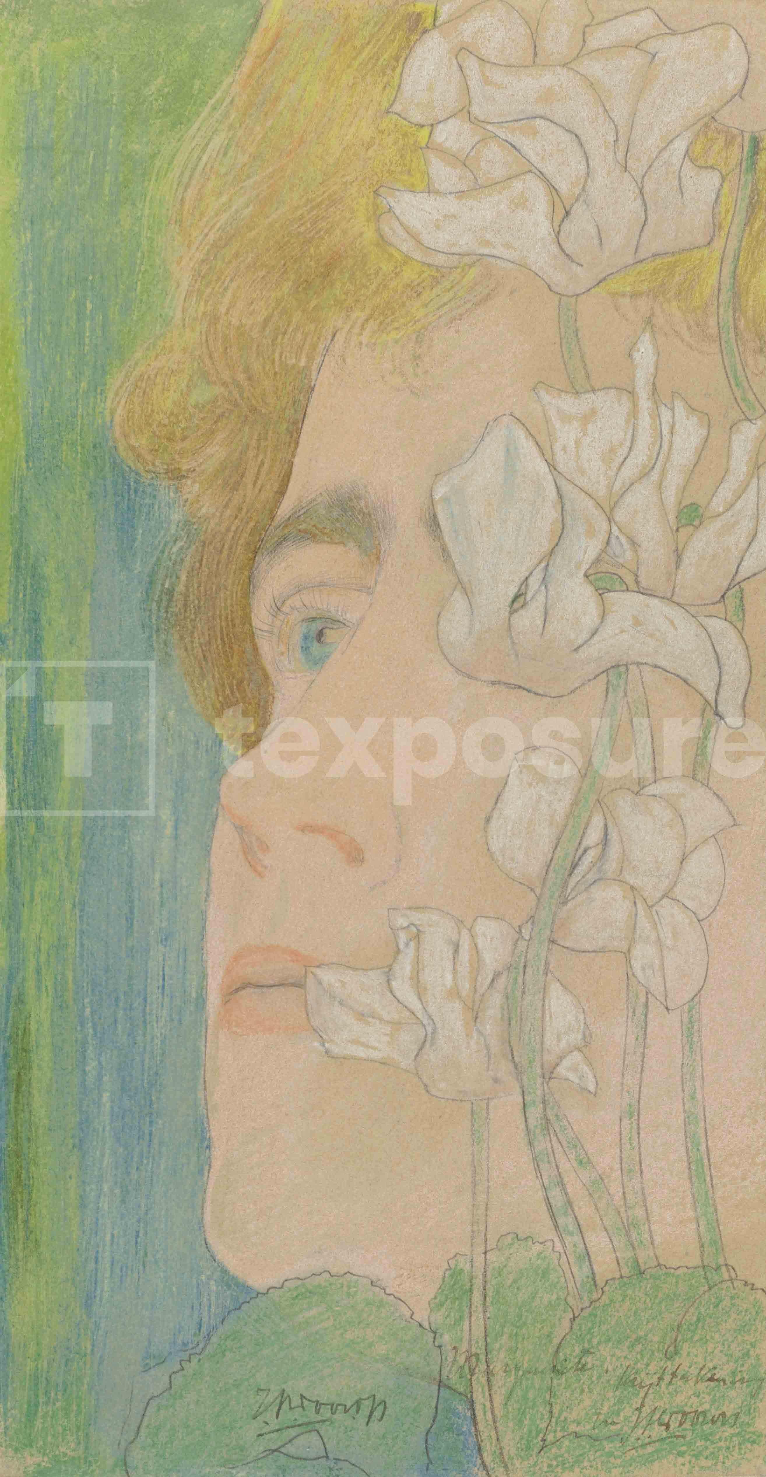 Lage resolutie foto met watermerk