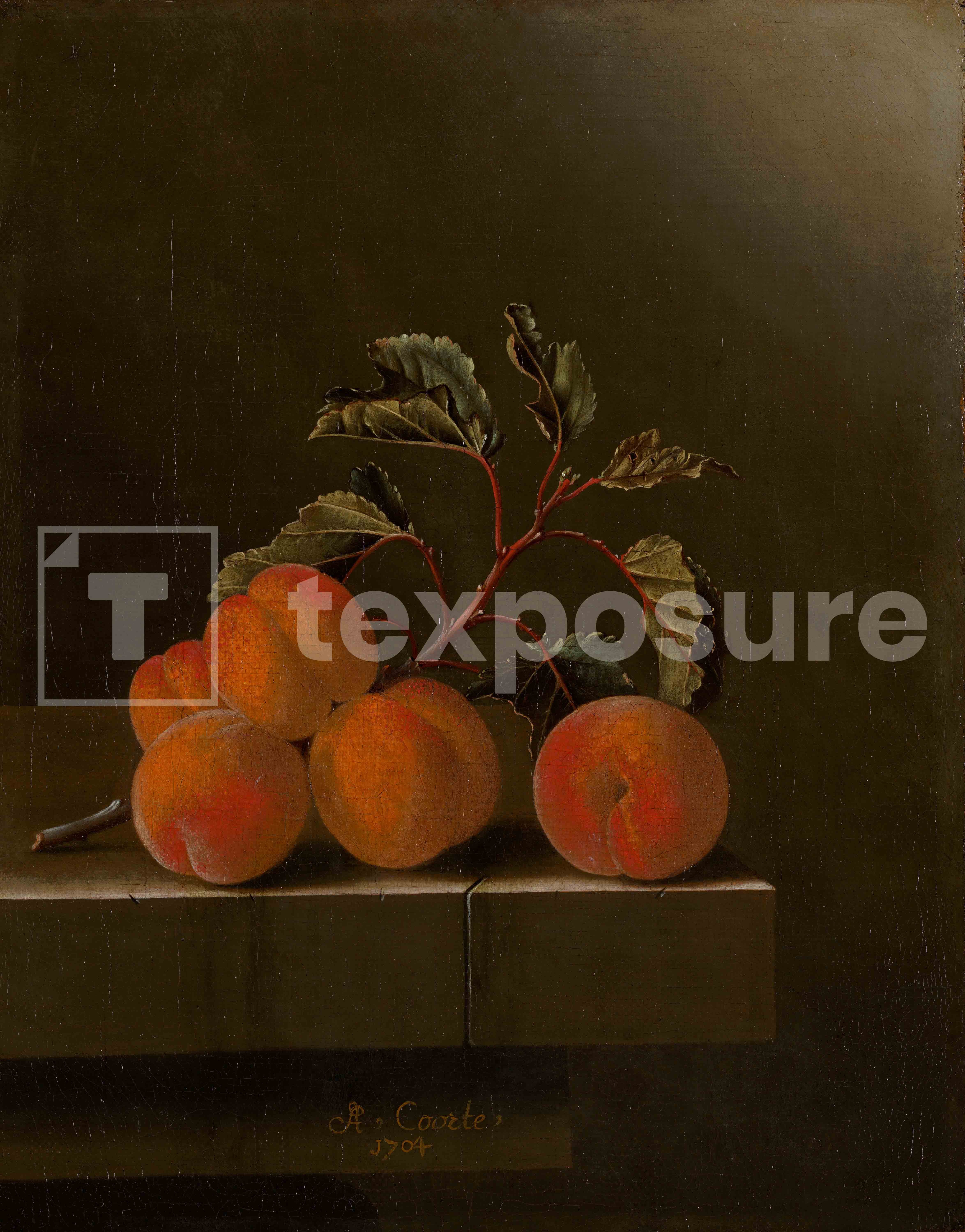 Lage resolutie foto met watermerk