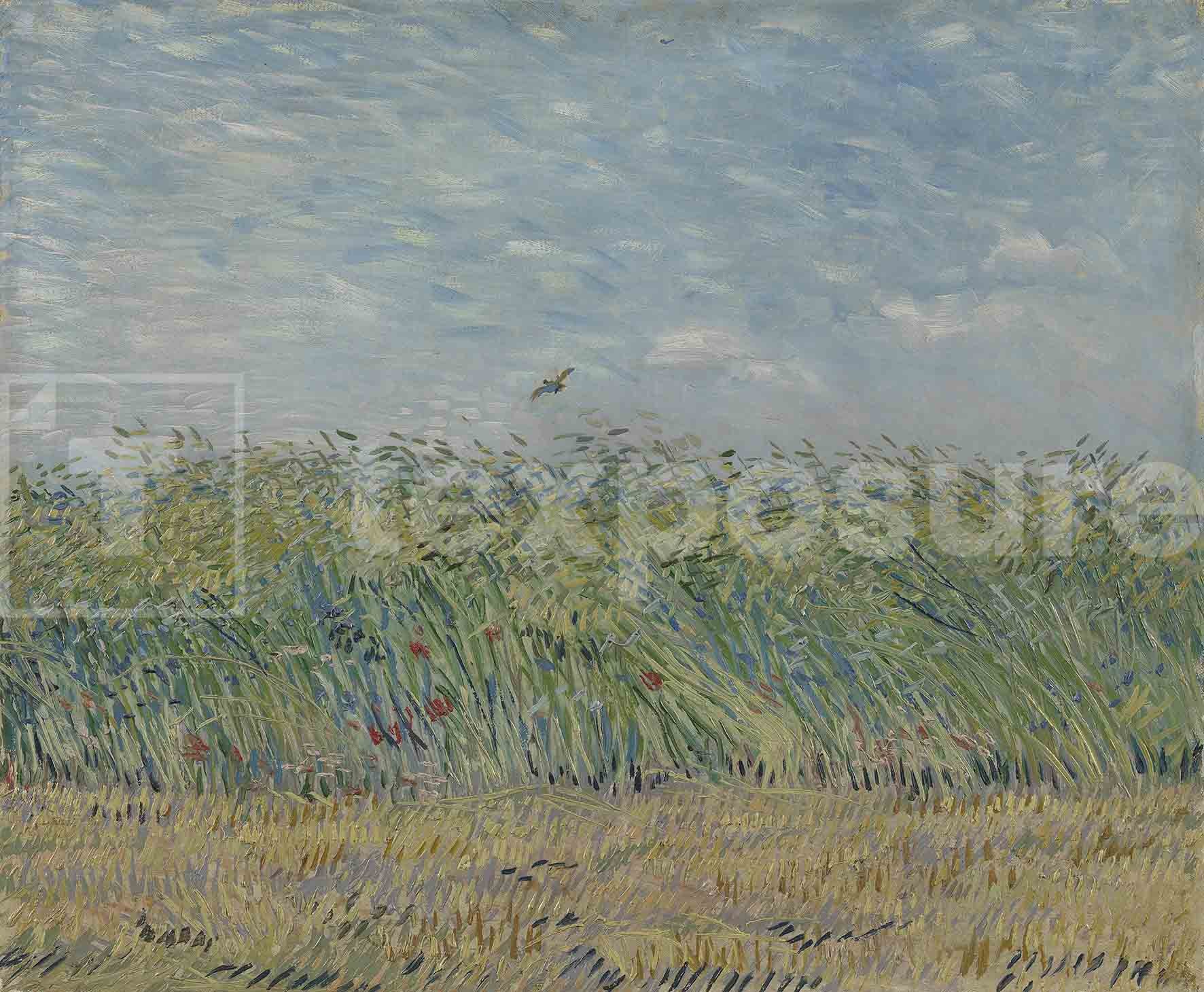 Lage resolutie foto met watermerk