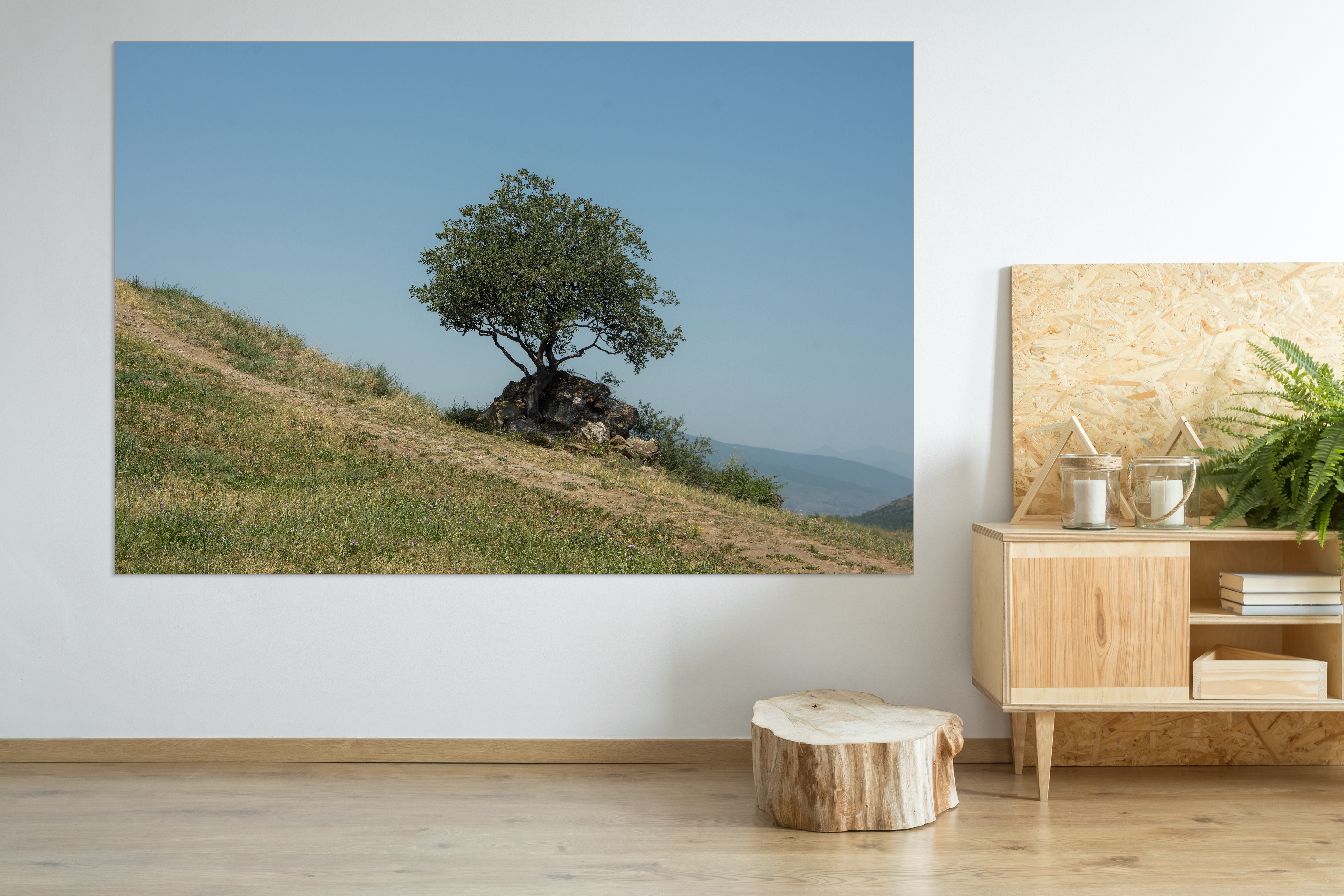 Tree on hill Dick Carlier