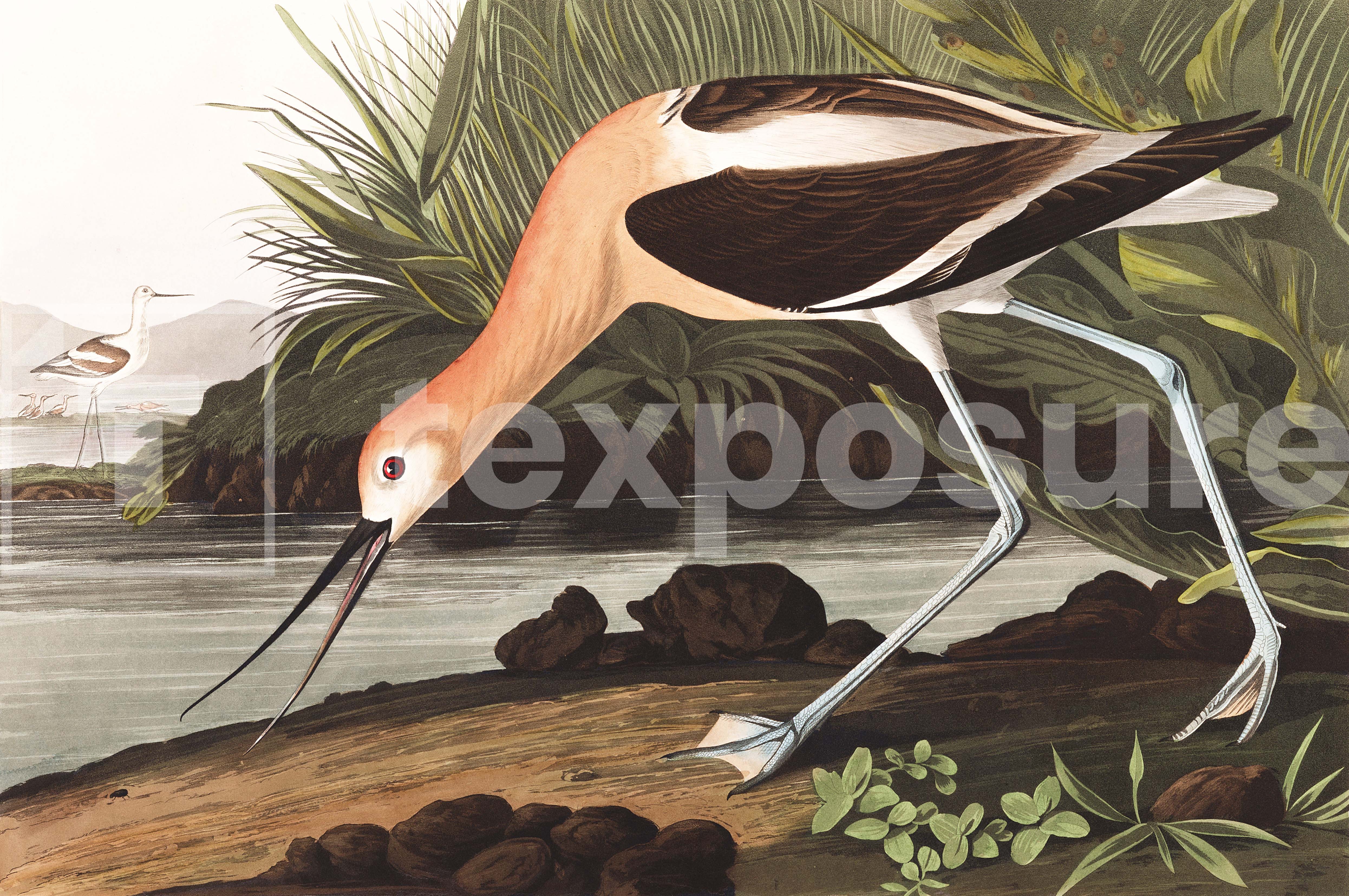 Lage resolutie foto met watermerk