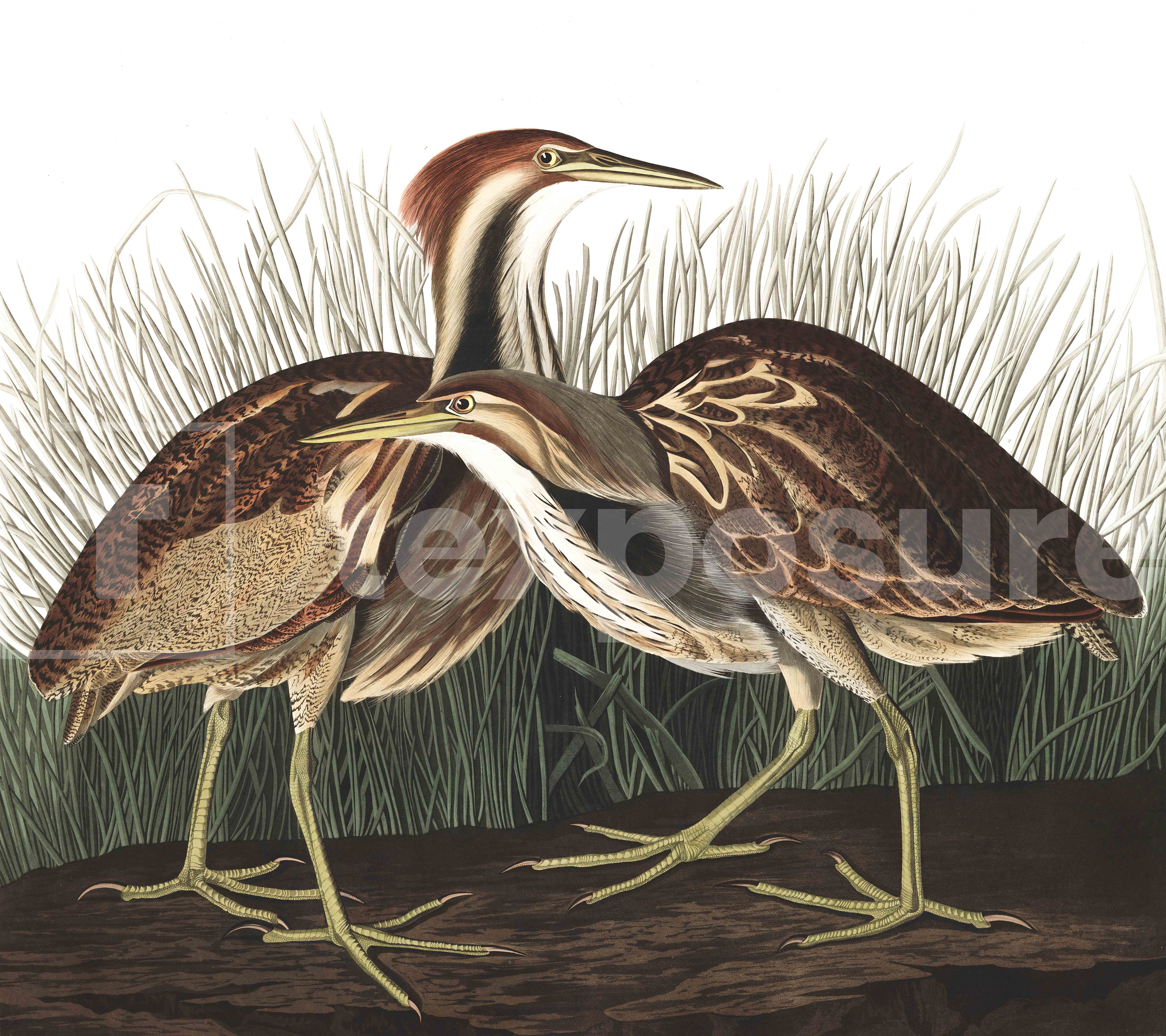 Close up textieldoek in frame gemonteerd wit