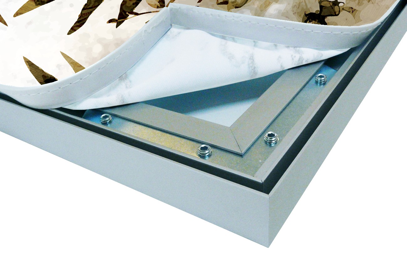 Flamingo in de natuur - hoek